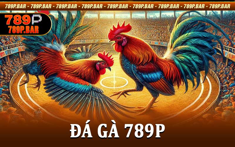 Đá gà 789P