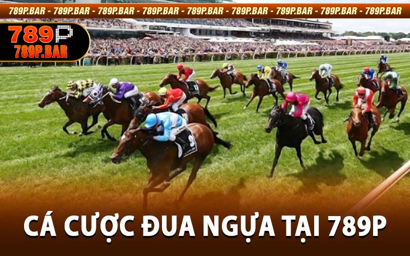 Cá Cược Đua Ngựa