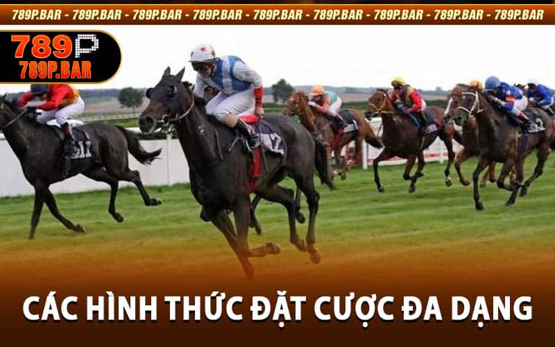 Cá Cược Đua Ngựa