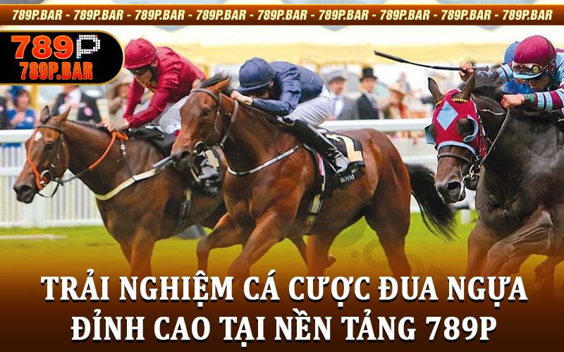 Cá Cược Đua Ngựa
